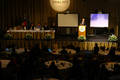 Sirikt2011_petek-1447.jpg
